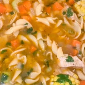 close up of chicken noodle soup